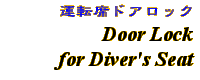 Information - Door Lock for Driver's Seat