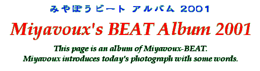 Title - Miyavoux's BEAT Album 2001