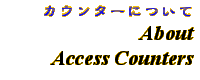 Information - About Access Counters