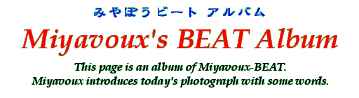 Title - Miyavoux's BEAT Album