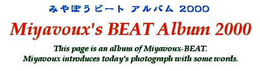 Title - Miyavoux's BEAT Album 2000