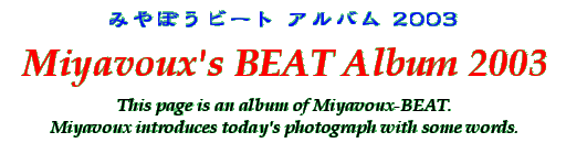 Title - Miyavoux's BEAT Album 2003